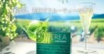 日版TEREA SHINE PEARL青提爆珠IQOS煙彈：圖片 3